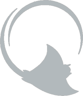 Stingray logo